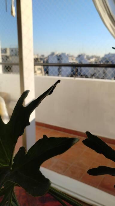 Bright & Spacious Flat In Almagro-perfect For Groups And Families Apartment